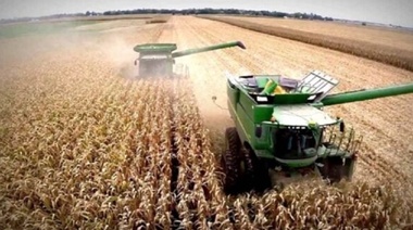 Massa anunció implementación de "dólar agro" unificado, con el que buscará simplificar cotizaciones