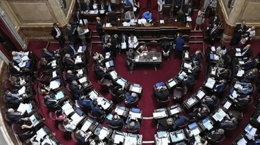 El Senado pospuso el tratamiento de la Ley Lucio