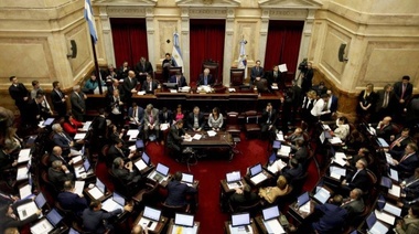 El Senado aprobó la ‘ley Lucio’ contra la violencia y el abuso infantil