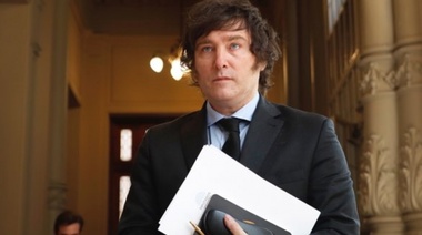 Milei respaldó a Macri tras las críticas de Carrió: "Se colgaron 20 años y ahora lo escupen"