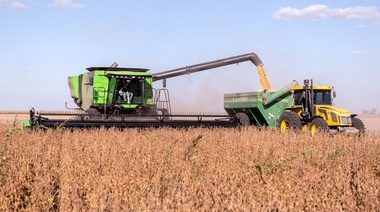 Agroexportadores liquidaron US$ 35,4 millones con el dólar agro