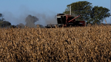 Es oficial la aplicación del impuesto PAÍS para el dólar importador