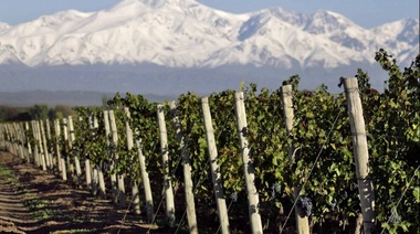 Marcha atrás: No subirán retenciones a 18 complejos productivos de las economías regionales