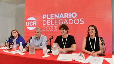 Lousteau dice que DNU es "inválido" y propone reemplazarlo "por Ley que se vote en capítulos"