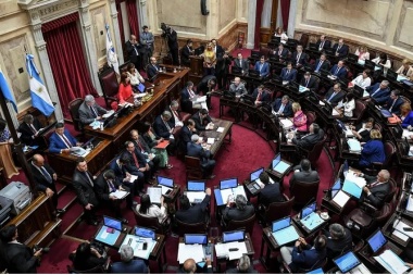La oposición se retiró del Senado y se cayó la primera sesión del 2023