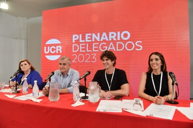 Lousteau dice que DNU es "inválido" y propone reemplazarlo "por Ley que se vote en capítulos"