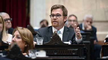 Massot dijo que la caída de la ley es "responsabilidad" de la "nula vocación de consenso" de Milei