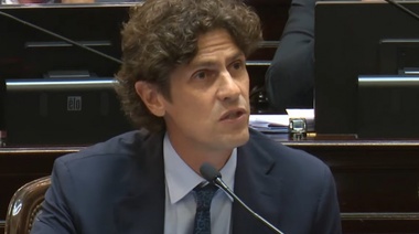 Lousteau argumentó su voto negativo: "El DNU es inconstitucional"