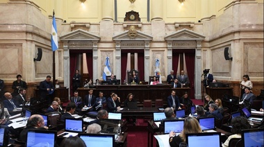 Milei tras el aumento de los senadores: "Los únicos que votaron en contra son de La Libertad Avanza"