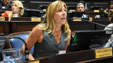 Vaccarezza presentó proyecto de ley para la que la imagen institucional de la provincia no sea modificada por los gobiernos de turno