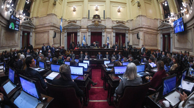 El Senado aprobó la ley de propiedad privada, pero el Gobierno debió ceder con la reforma a la Ley de Manejo del Fuego