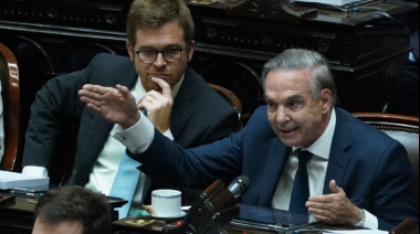 Pichetto y Massot presentaron una cautelar para suspender el artículo del DNU que derogó la Ley de Tierras