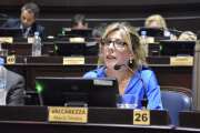 Vaccarezza: "$354.197 millones del Fondo Hídrico en la timba financiera, mientras el interior bonaerense espera obras"